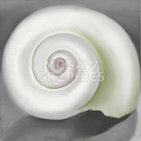 Shell No. I, 1928 -  Georgia O'Keeffe - McGaw Graphics