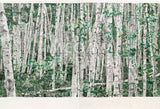 You Can't See the Forest for the Trees, 2003 -  Marcel Odenbach - McGaw Graphics