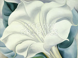 The White Flower (White Trumpet Flower), 1932 -  Georgia O'Keeffe - McGaw Graphics
