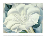 The White Flower (White Trumpet Flower), 1932 -  Georgia O'Keeffe - McGaw Graphics