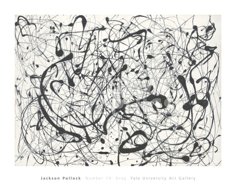 Number 14:  Gray -  Jackson Pollock - McGaw Graphics