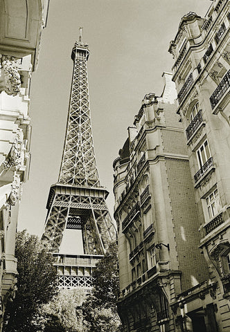 Eiffel Tower Street View #1 -  Christian Peacock - McGaw Graphics
