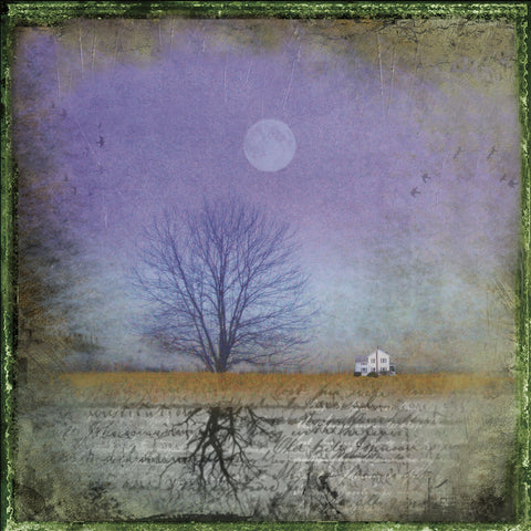 Moonlight in Vermont -  Dawne Polis - McGaw Graphics