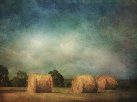 Hay Rolls -  Dawne Polis - McGaw Graphics