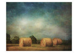 Hay Rolls -  Dawne Polis - McGaw Graphics