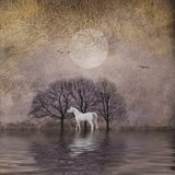 White Horse in Pond -  Dawne Polis - McGaw Graphics