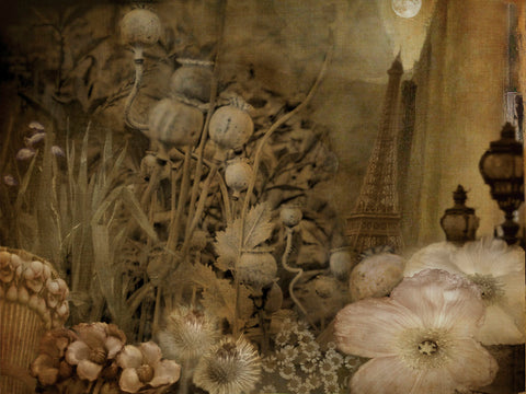 Paris-City of Flowers -  Dawne Polis - McGaw Graphics