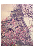 April in Paris -  Dawne Polis - McGaw Graphics