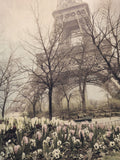 Eiffel in Springtime -  Dawne Polis - McGaw Graphics