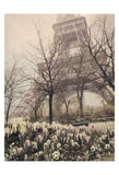 Eiffel in Springtime -  Dawne Polis - McGaw Graphics
