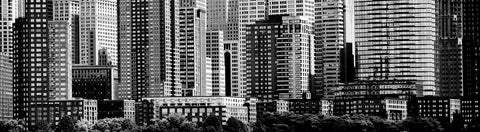 Panorama 1141 (b/w) -  Jeff Pica - McGaw Graphics