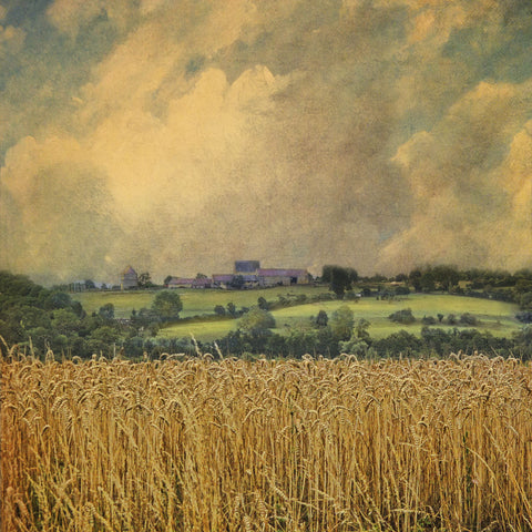 Picardy Wheat -  Dawne Polis - McGaw Graphics