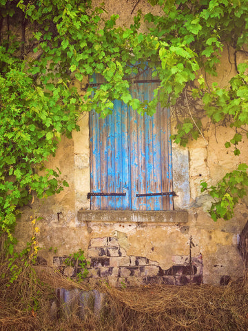 French Blue Shutter -  Dawne Polis - McGaw Graphics