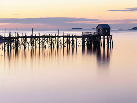 Old Wharf at Dawn -  Paul Rezendes - McGaw Graphics