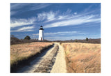 Cape Poge Lighthouse -  Paul Rezendes - McGaw Graphics