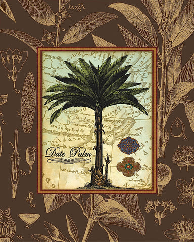 Date Palm -  Karl Rattner - McGaw Graphics