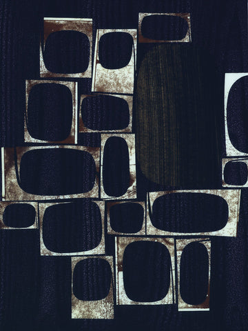 Fragments -  Rex Ray - McGaw Graphics