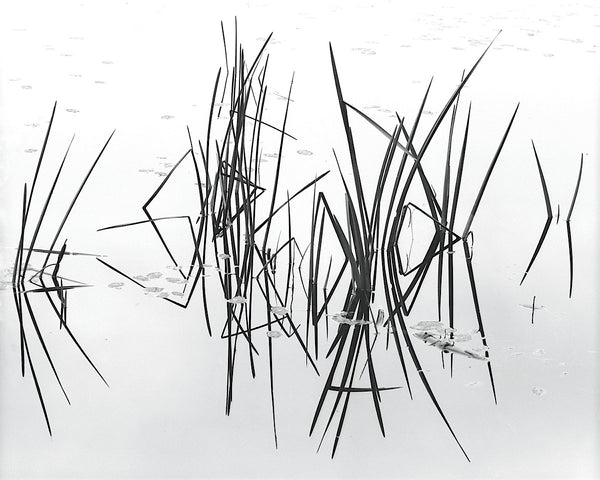 Lake of Two Rivers | McGaw Graphics