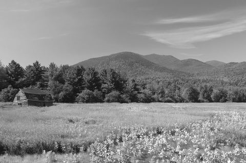 Adirondack Field -  Erik Richards - McGaw Graphics