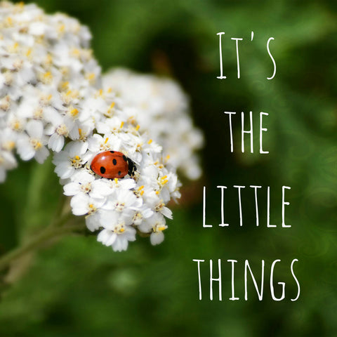 The Little Things -  R Delean Designs - McGaw Graphics