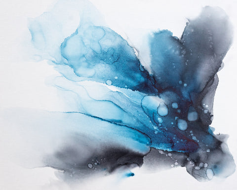 Ink Blue Fan -  Alissa Rosenberg - McGaw Graphics