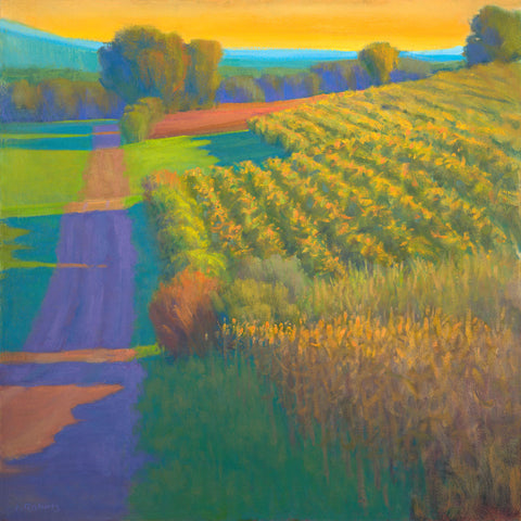 Evening at the Vineyards, Tuscany -  Ian Roberts - McGaw Graphics