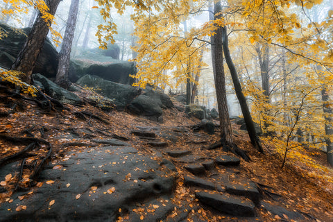 The Stairs of Stones -  Ju Riker - McGaw Graphics