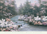 River Cascade -  Diane Romanello - McGaw Graphics