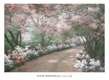 Azalea Walk -  Diane Romanello - McGaw Graphics