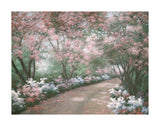 Azalea Walk -  Diane Romanello - McGaw Graphics