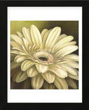 Daisy Portrait (Framed) -  Lisa Audit - McGaw Graphics