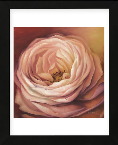 Rose Portrait (Framed) -  Lisa Audit - McGaw Graphics