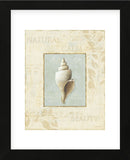 Soothing Words Shells I (Framed) -  Lisa Audit - McGaw Graphics