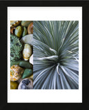 Desert Zen IV (Framed) -  Sidney Aver - McGaw Graphics