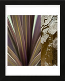 Desert Jewels II (Framed) -  Sidney Aver - McGaw Graphics