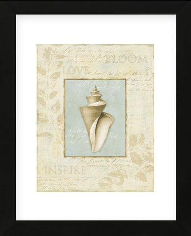 Soothing Words Shells III (Framed) -  Lisa Audit - McGaw Graphics