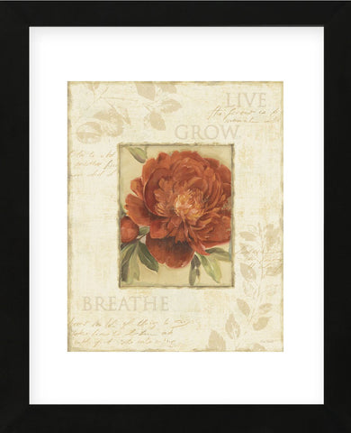 Soothing Words II (Framed) -  Lisa Audit - McGaw Graphics