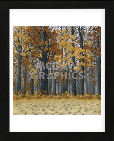 Autumn Wood  (Framed) -  Timothy Arzt - McGaw Graphics