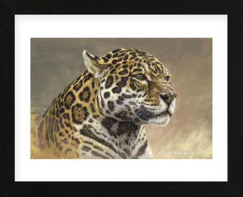 Jaguar  (Framed) -  Kalon Baughan - McGaw Graphics