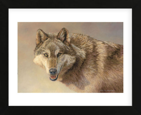 Wolf Portrait  (Framed) -  Kalon Baughan - McGaw Graphics