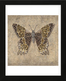 Leopard Butterfly  (Framed) -  Jennette Brice - McGaw Graphics