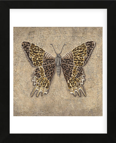 Leopard Butterfly  (Framed) -  Jennette Brice - McGaw Graphics
