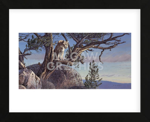 On the Alert  (Framed) -  Kalon Baughan - McGaw Graphics