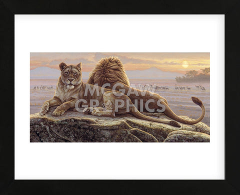 Lions of the Mara  (Framed) -  Kalon Baughan - McGaw Graphics