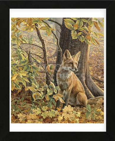 Eyes of Autumn  (Framed) -  Kalon Baughan - McGaw Graphics