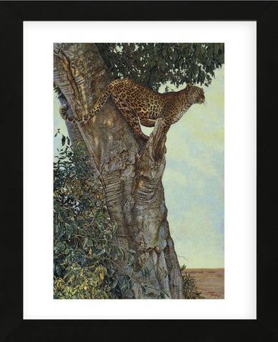 On the Lookout  (Framed) -  Kalon Baughan - McGaw Graphics