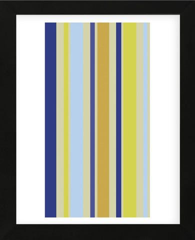 Kiwi Stripe (Framed) -  Dan Bleier - McGaw Graphics