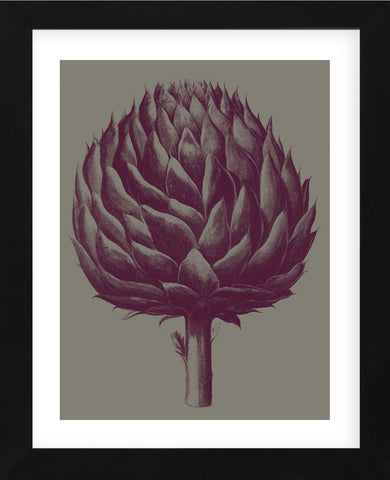 Artichoke (grey-plum) (Framed) -  Botanical Series - McGaw Graphics