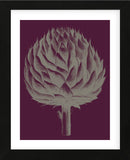 Artichoke (plum-grey) (Framed) -  Botanical Series - McGaw Graphics
