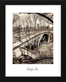 Central Park Bridges 3 (Framed) -  Chris Bliss - McGaw Graphics